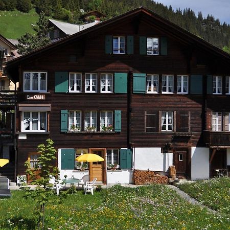 Studio Bim Chalet Bim Chilchli Mürren Extérieur photo